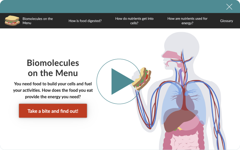 Browser with a web page showing a video about Biomolecules