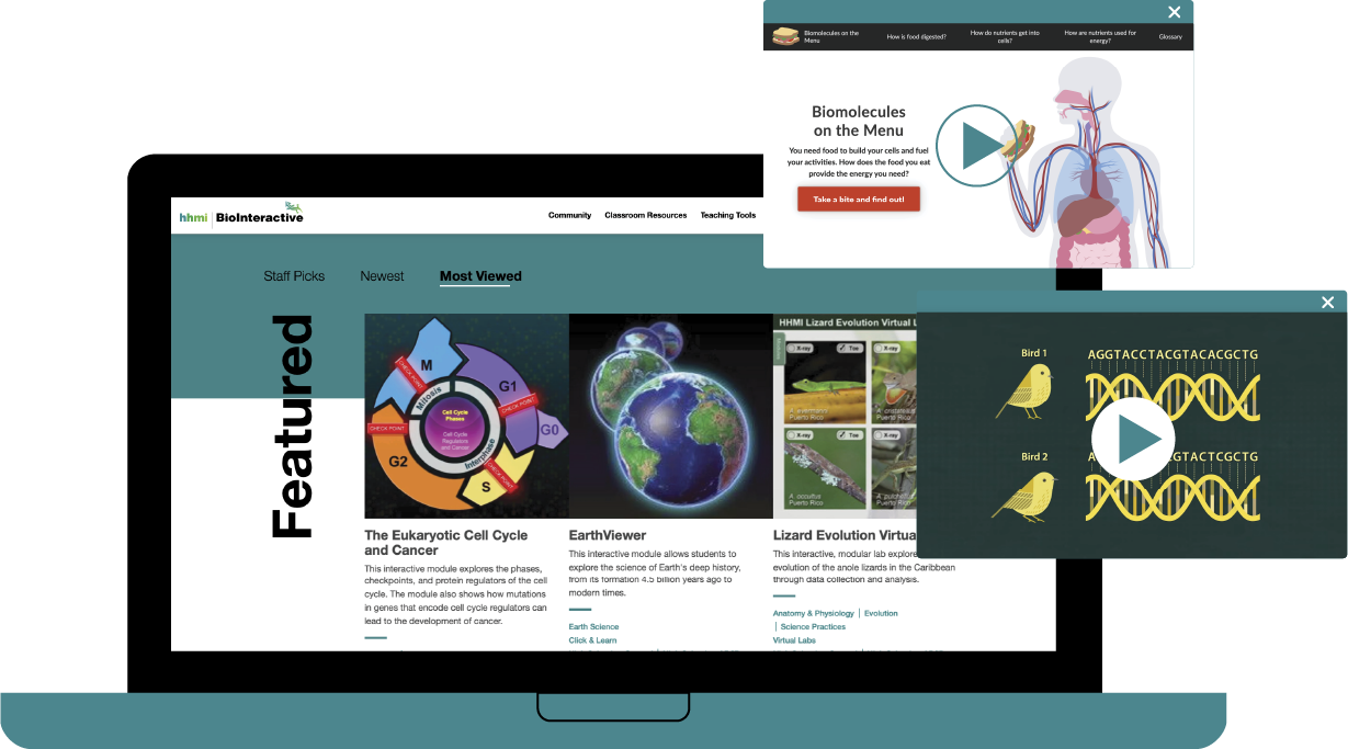 A browser with a web page showing a lesson plan
